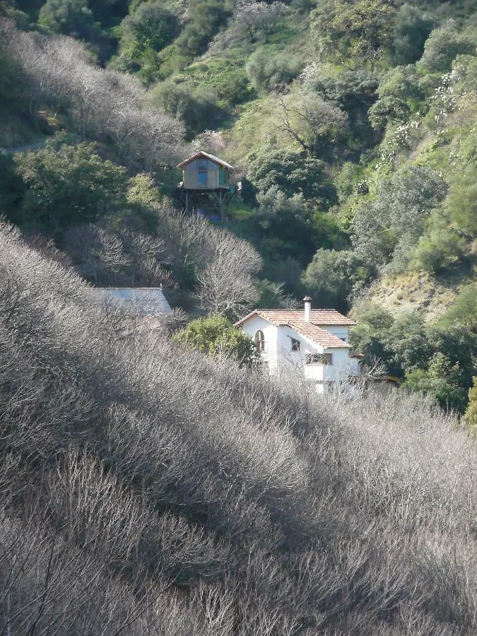 Casa De Los Guindales 호텔 말라가 0*,
