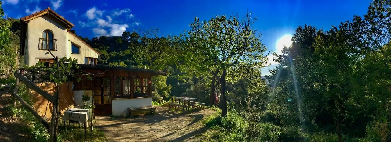 Casa De Los Guindales 호텔 말라가