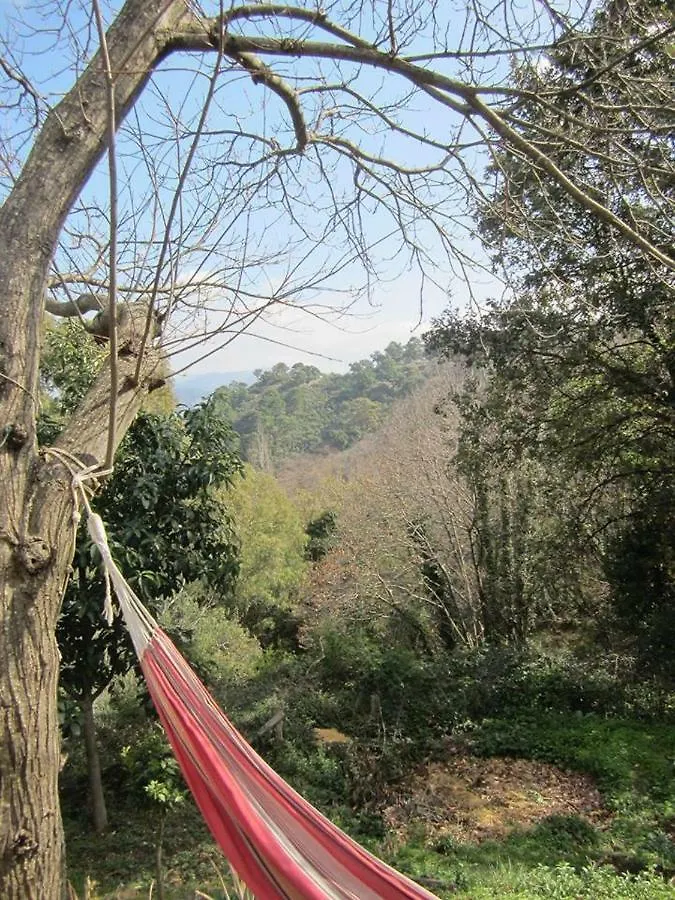 Εξοχικό σπίτι Casa De Los Guindales Ξενοδοχείο Μάλαγα